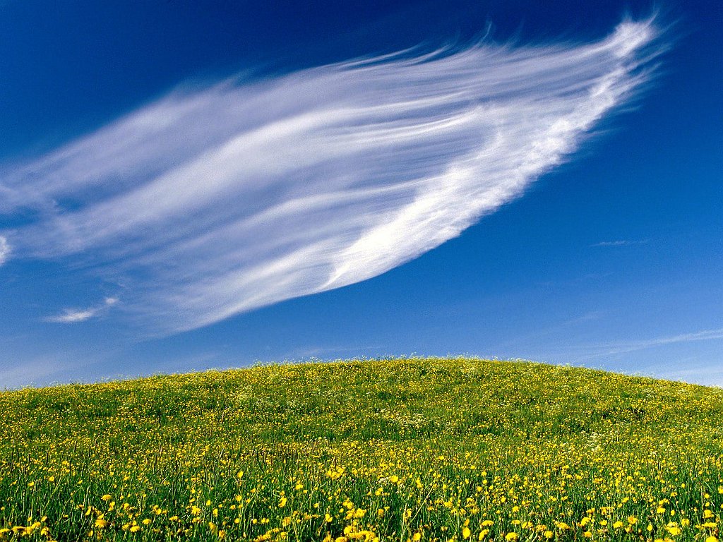 Clouds Sweeping, Springtime Blossoms